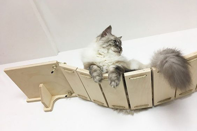 мостик на стену полки для кошек котов plotnik-petr.ru